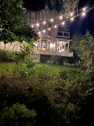 The Madrona image