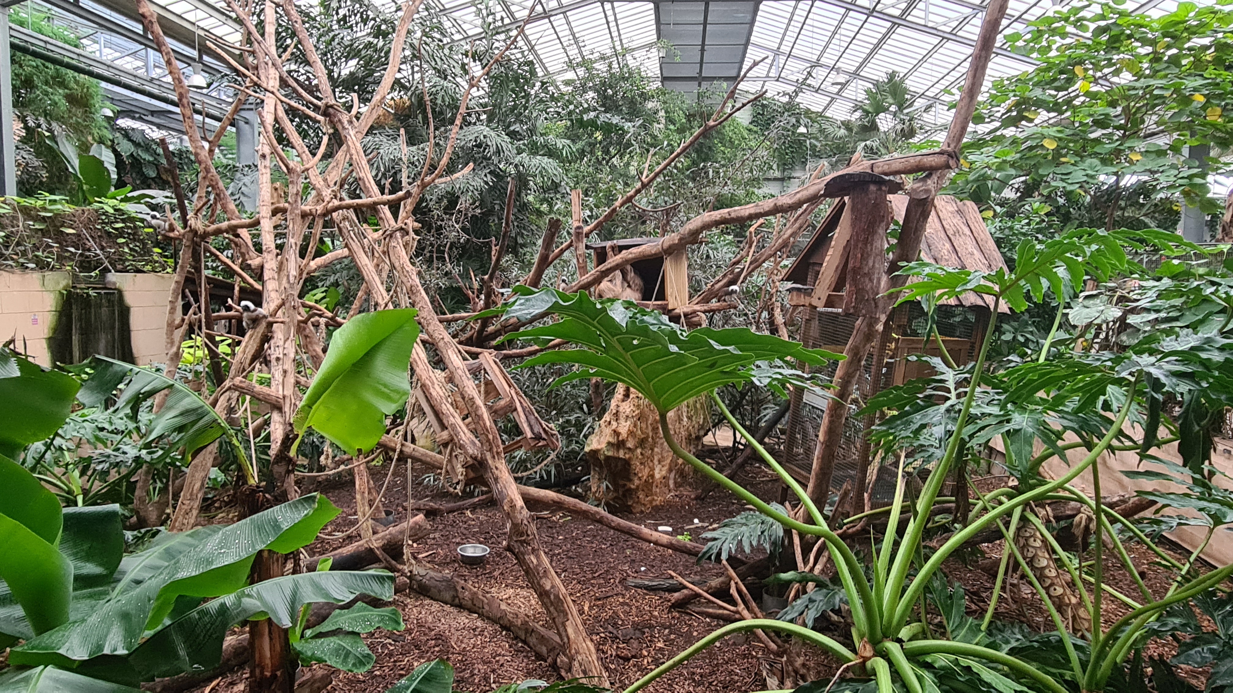 Photo n° 34 de l'avis de Ludovic.A fait le 29/12/2023 à 16:51