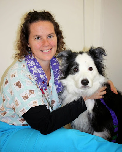 Burlington Animal Clinic image