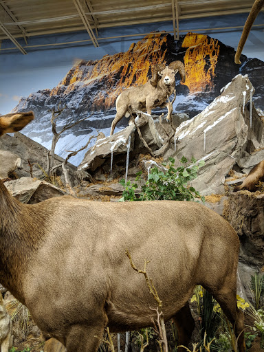 Outdoor Sports Store «Field & Stream», reviews and photos, 1501 Sentinel Dr Ste B, Chesapeake, VA 23320, USA