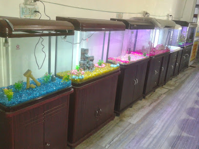 Fish World Aquariums