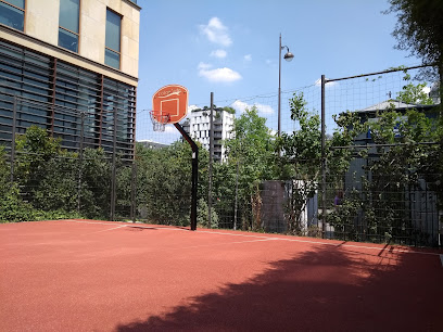 Playground Basket