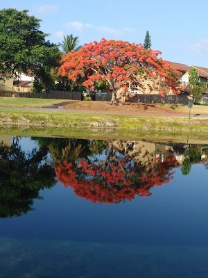 Hammocks Community Park - photo 51