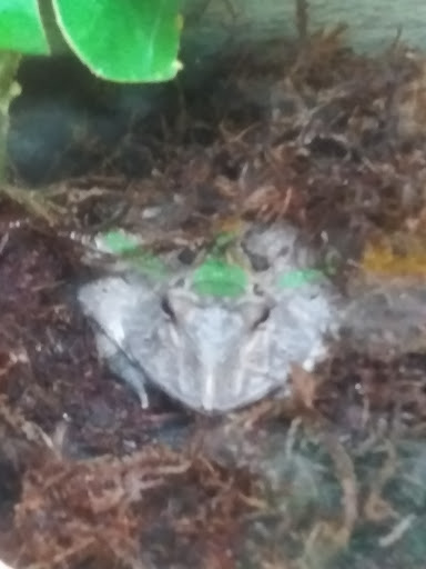 Pet Supply Store «Petco Animal Supplies», reviews and photos, 473 State Rd, North Dartmouth, MA 02747, USA