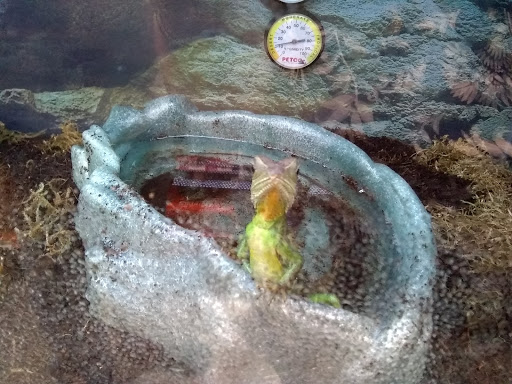 Pet Supply Store «Petco Animal Supplies», reviews and photos, 35 Fort Eddy Rd, Concord, NH 03301, USA