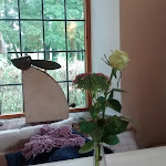 Photo n°1 de l'avis de Olaf.r fait le 02/10/2017 à 12:14 sur le  Gut Hörne Cafe - Bistro - Shop à Balje