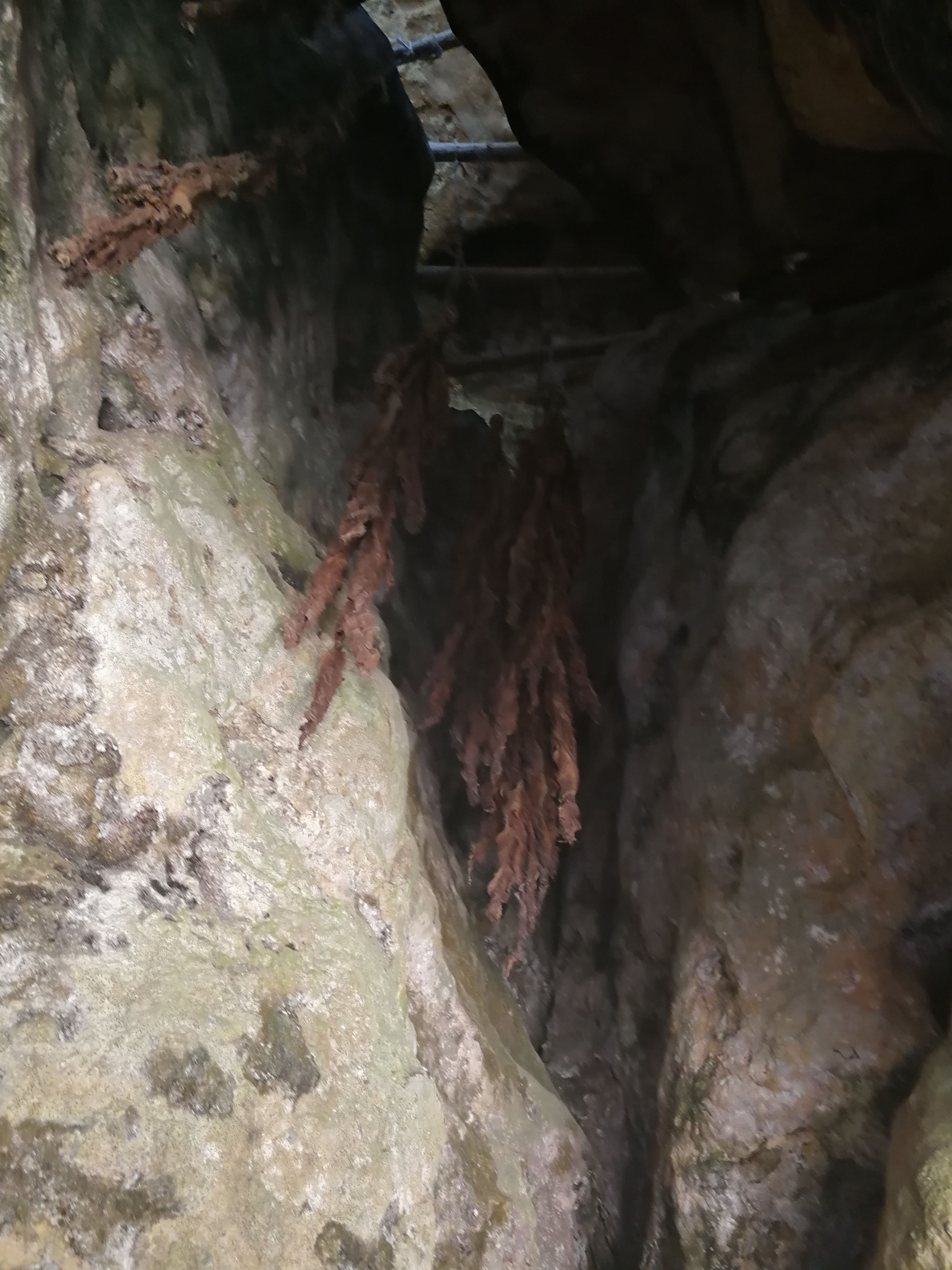 Photo n° 8 de l'avis de Sostaire.e fait le 23/04/2018 à 19:06