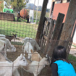 Photo n°1 de l'avis de Alessandro.a fait le 14/10/2019 à 10:02 sur le  Agriturismo Marchetto à Saonara