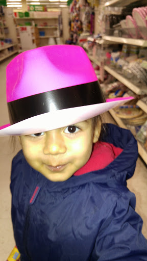 Dollar Store «Dollar Tree», reviews and photos, 1 Padanaram Rd, Danbury, CT 06811, USA