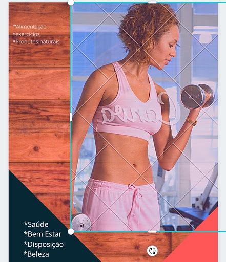 Logo da empresa - Vida fitnes