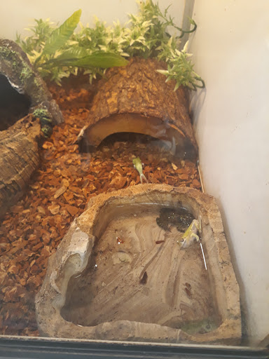 Pet Supply Store «Pet Supplies Plus», reviews and photos, 5555 Youngstown Warren Rd, Niles, OH 44446, USA