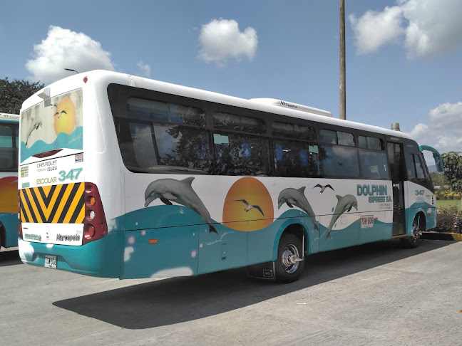 Comentarii opinii despre Terminal De Transporte De Pitalito S.A.