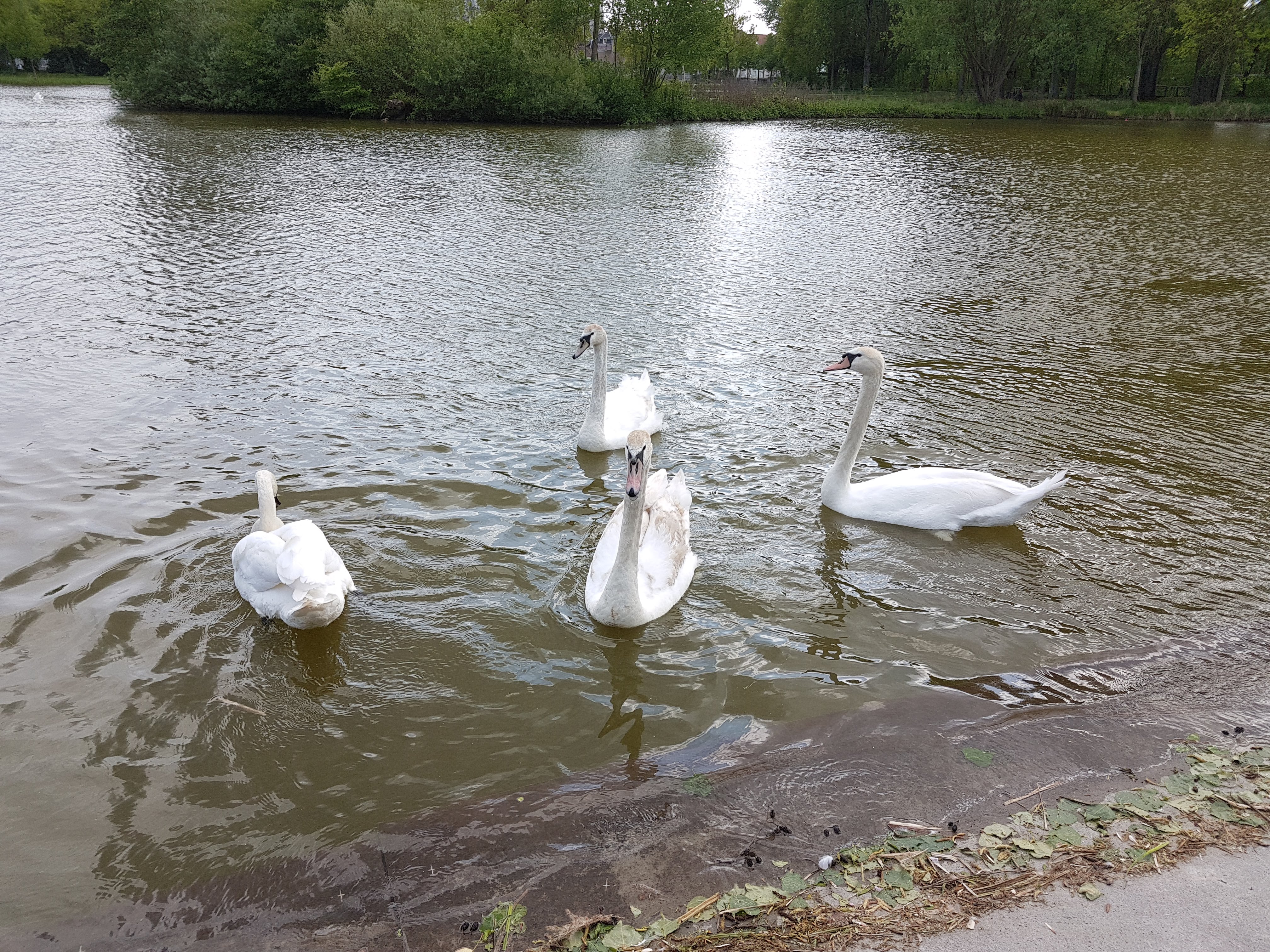Photo n° 2 de l'avis de severine.A fait le 08/05/2018 à 12:16