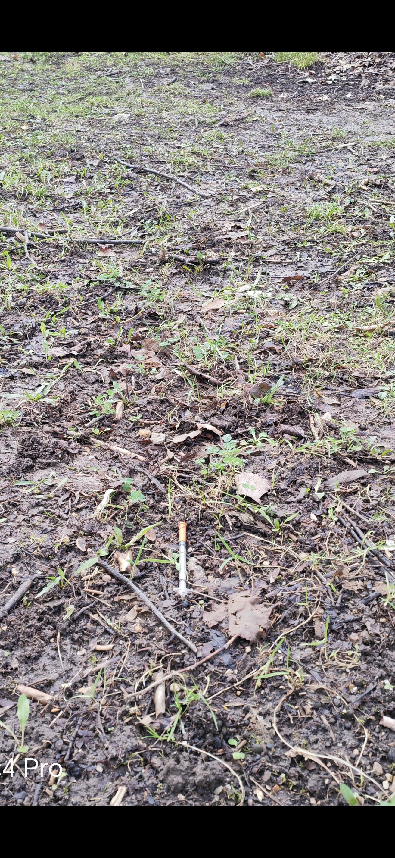 Photo n° 4 de l'avis de Géant.e fait le 06/02/2024 à 17:24
