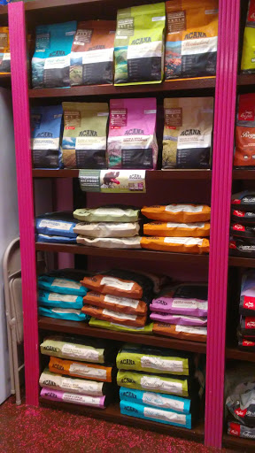 Pet Groomer «Woof Gang Bakery & Grooming Lake Nona - Retail, Grooming», reviews and photos, 10743 Narcoossee Rd, Orlando, FL 32832, USA