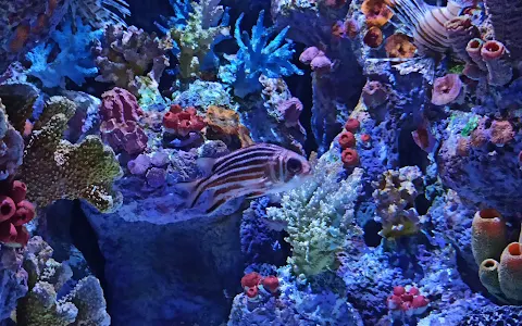 Funtastic Aquarium İzmir image