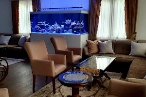 Morski Akvarijum image
