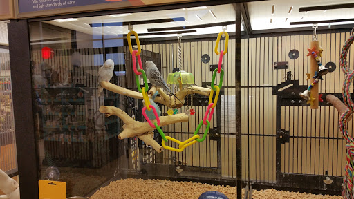 Pet Supply Store «PetSmart», reviews and photos, 47142 Michigan Ave, Canton, MI 48188, USA