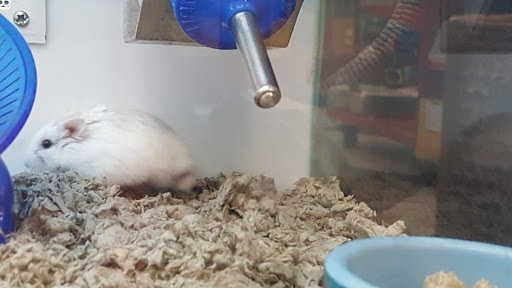 Pet Supply Store «Petco Animal Supplies», reviews and photos, 1341 W Covell Blvd b, Davis, CA 95616, USA