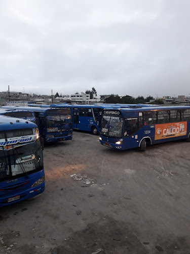 Opiniones de Autobuses Transporsell en Quito - Servicio de transporte