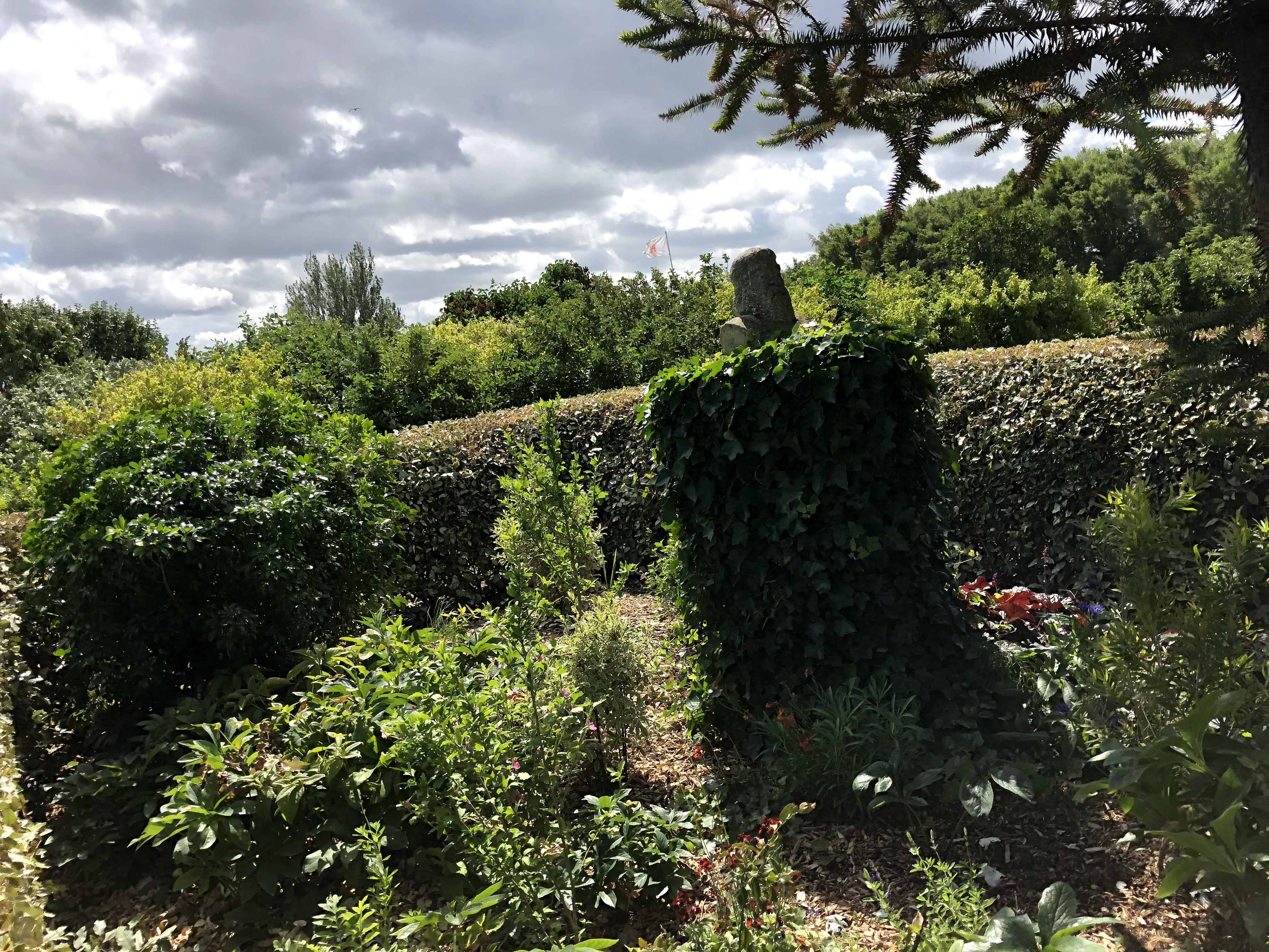 Photo n° 7 de l'avis de Anouar.a fait le 16/06/2020 à 06:59