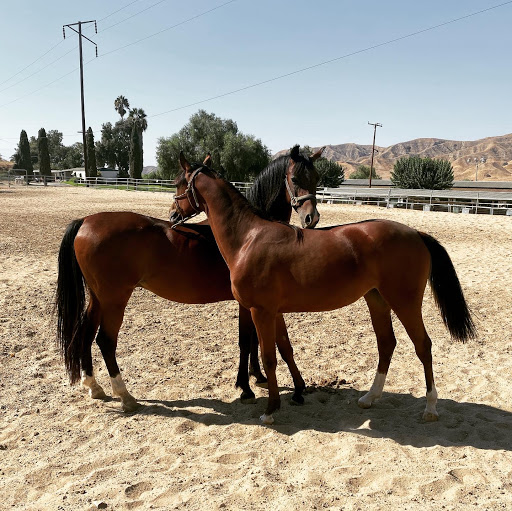 Equestrian club San Bernardino