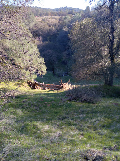 Nature Preserve «Black Swan Trail», reviews and photos, Mooney Flat Rd, Smartsville, CA 95977, USA