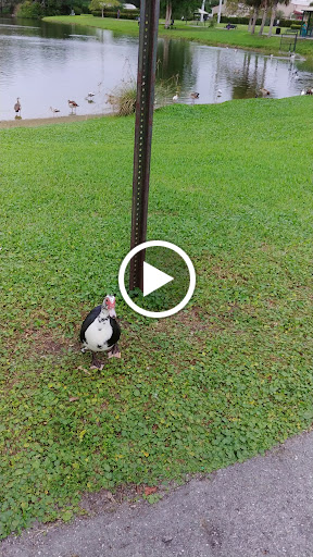 Park «Oak Lake Park», reviews and photos, 3190 N 56th Ave, Hollywood, FL 33021, USA