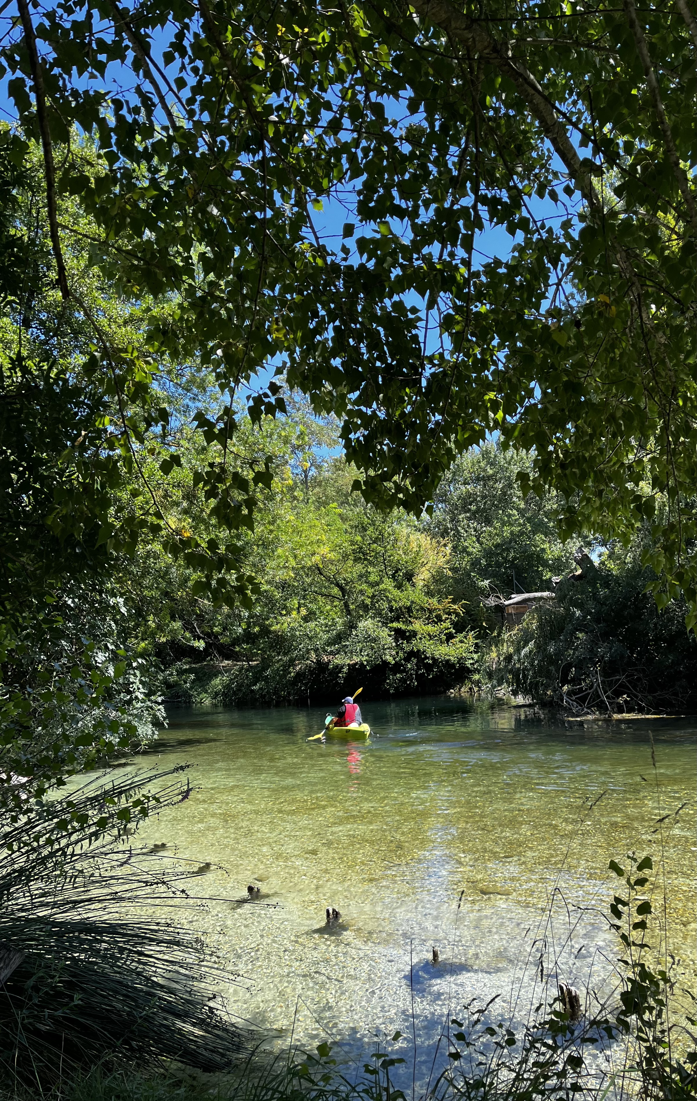 Photo n° 7 de l'avis de Chaf.o fait le 09/08/2023 à 16:45