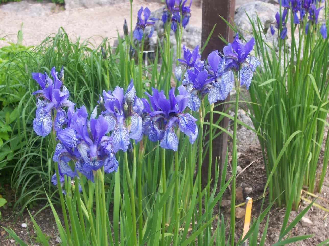 Photo n° 14 de l'avis de Christiane.e fait le 15/06/2021 à 17:16