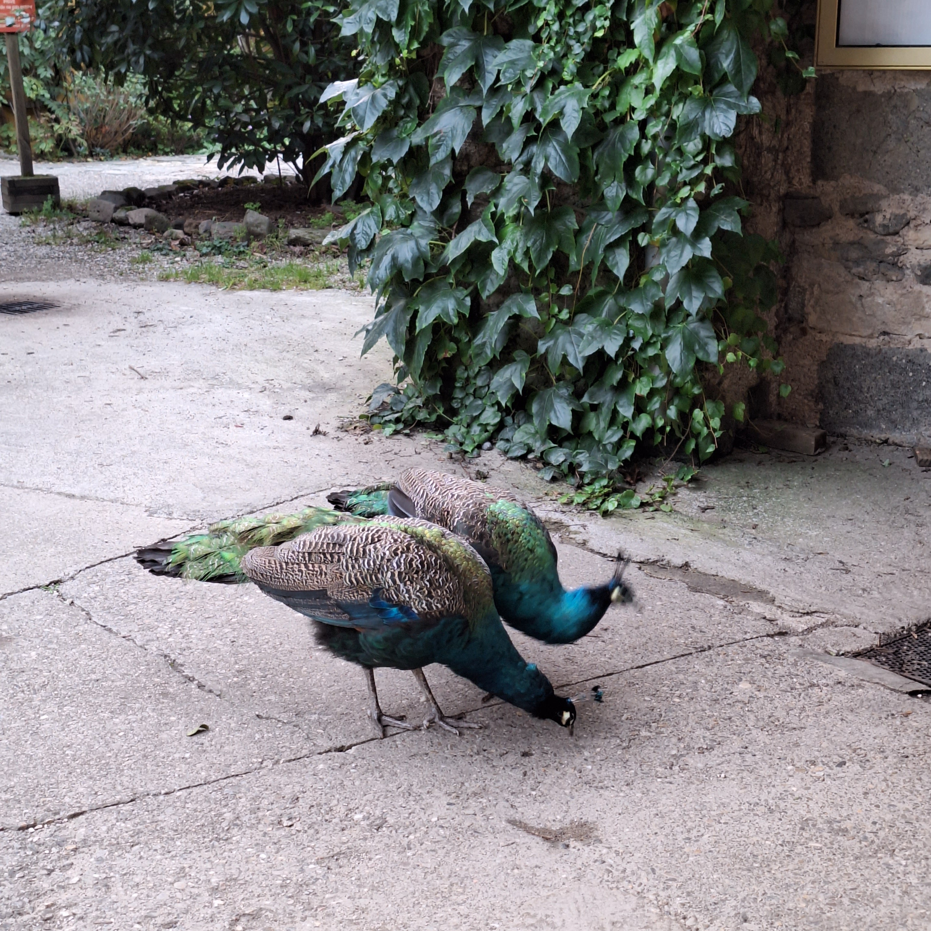 Photo n° 7 de l'avis de Nadine.H fait le 15/10/2023 à 21:15