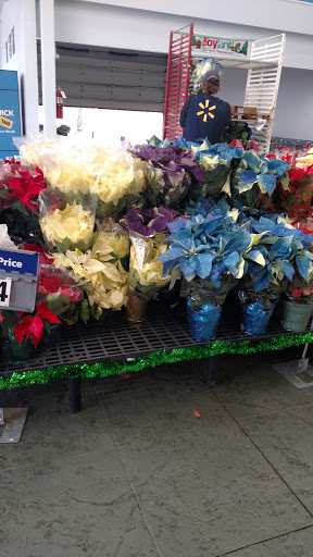 Department Store «Walmart Supercenter», reviews and photos, 135 Willow Ln, McDonough, GA 30253, USA