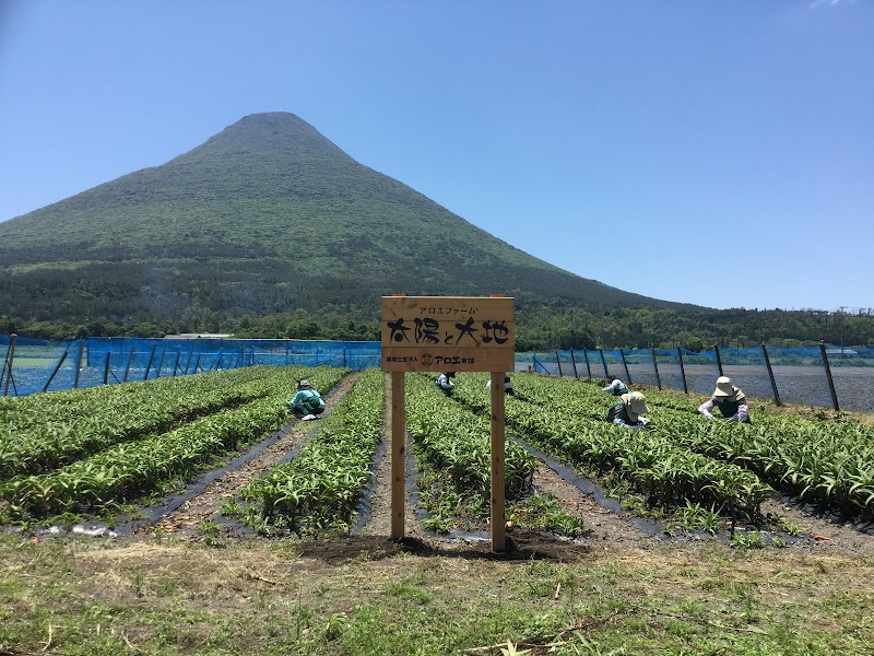 アロエ本舗株式会社