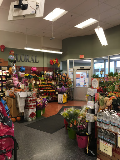 Supermarket «King Kullen», reviews and photos, 29 Montauk Hwy, Blue Point, NY 11715, USA