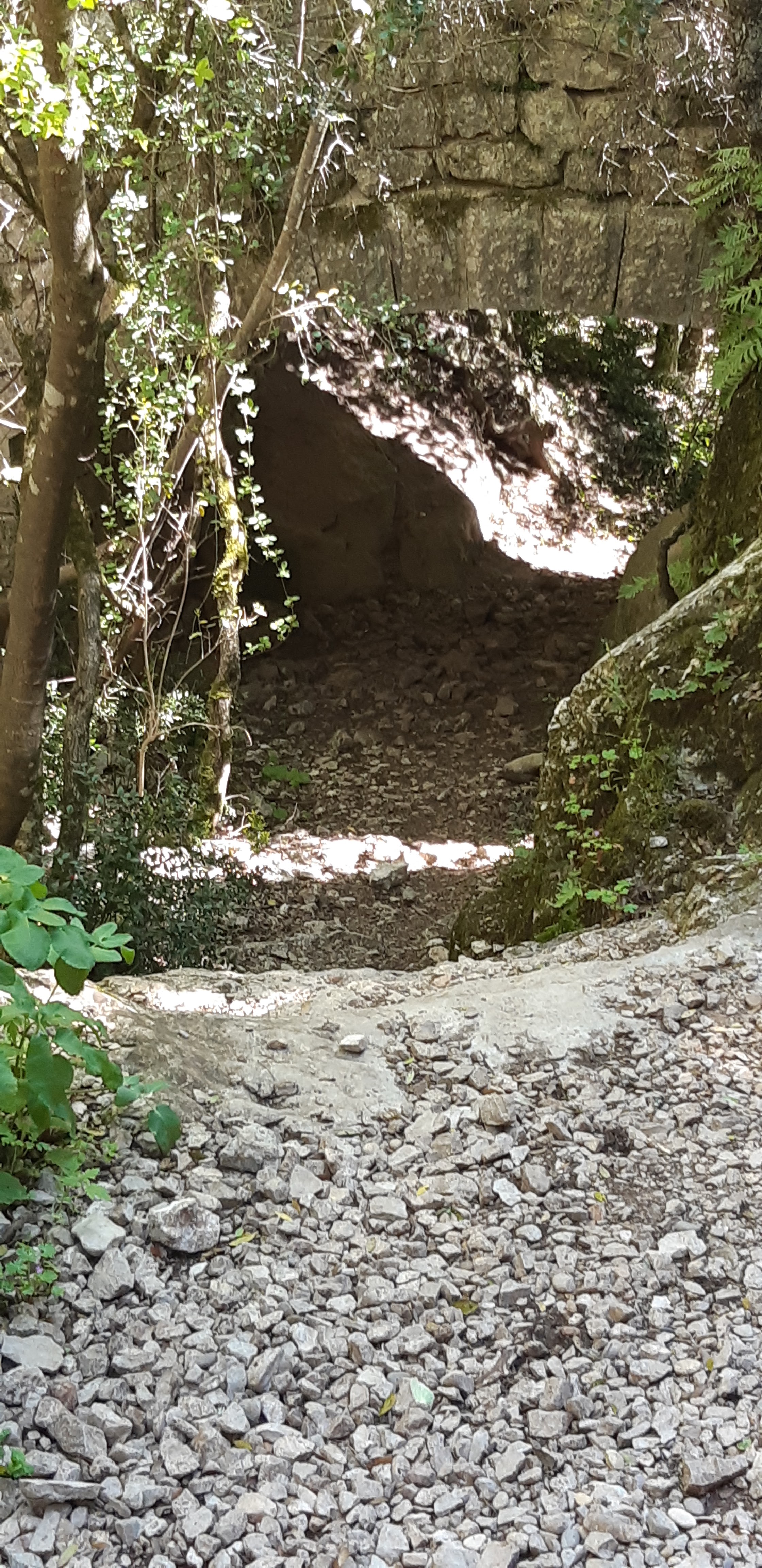 Photo n° 4 de l'avis de Di.e fait le 25/05/2019 à 13:15