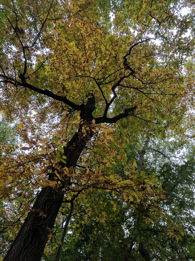 State Park «Patapsco Valley State Park», reviews and photos, 8020 Baltimore National Pike, Ellicott City, MD 21043, USA