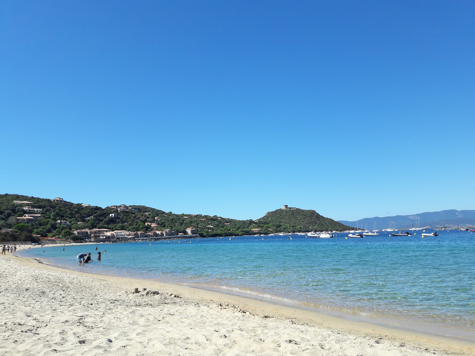 Photo of Campomoro Beach with partly clean level of cleanliness