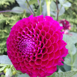 Photo n°6 de l'avis de G. fait le 06/09/2020 à 12:31 sur le  B&B Boutiquehotel Clara à Riscone