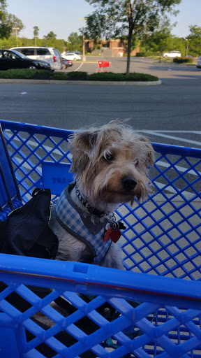 Pet Supply Store «PetSmart», reviews and photos, 467 Cross Keys Rd, Sicklerville, NJ 08081, USA