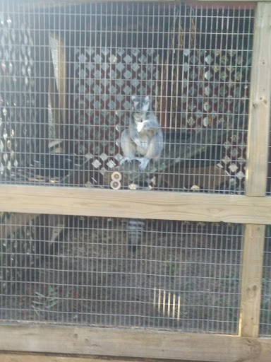 Animal Protection Organization «Fantasy Farms Animal Preserve», reviews and photos, 194 S Roscoe Blvd, Ponte Vedra Beach, FL 32082, USA