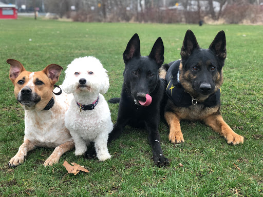 Country Club «Tewksbury Country Club», reviews and photos, 1880 Main St, Tewksbury, MA 01876, USA