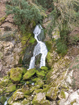 Leschaux à Leschaux