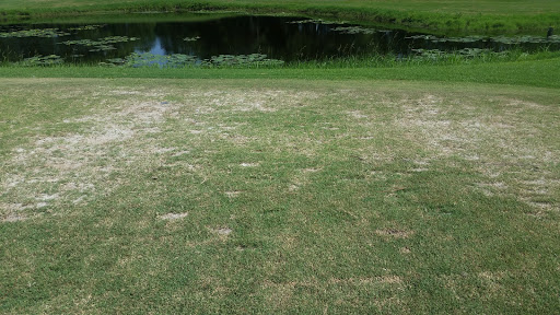 Golf Course «Seascape Golf Course», reviews and photos, 100 Seascape Dr, Miramar Beach, FL 32550, USA