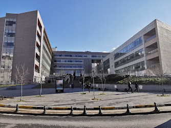 Pendik Tapu Müdürlüğü