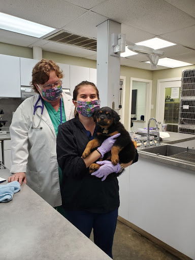 Hickory Knoll Veterinary Hospital image