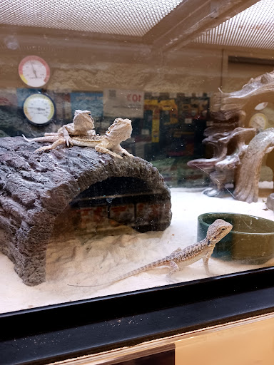 Pet Supply Store «Petco Animal Supplies», reviews and photos, 20825 I-30, Benton, AR 72015, USA