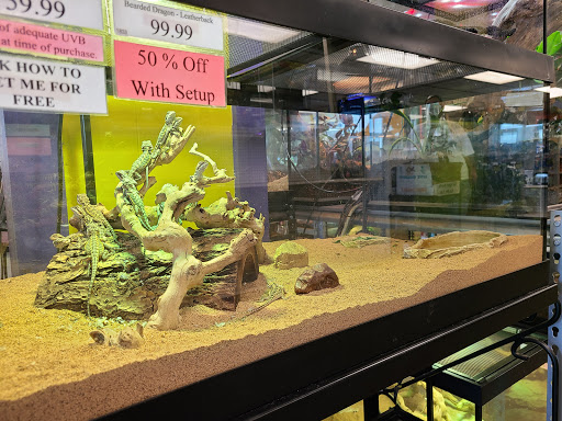 Pet Store «Tye-Dyed Iguana - Reptiles», reviews and photos, 1905 W U.S. 50, Fairview Heights, IL 62208, USA
