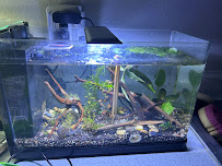 Aquatic Pets - Wichita Aquarium - Photo 6 - Car repair in Wichita, KS, Wichita