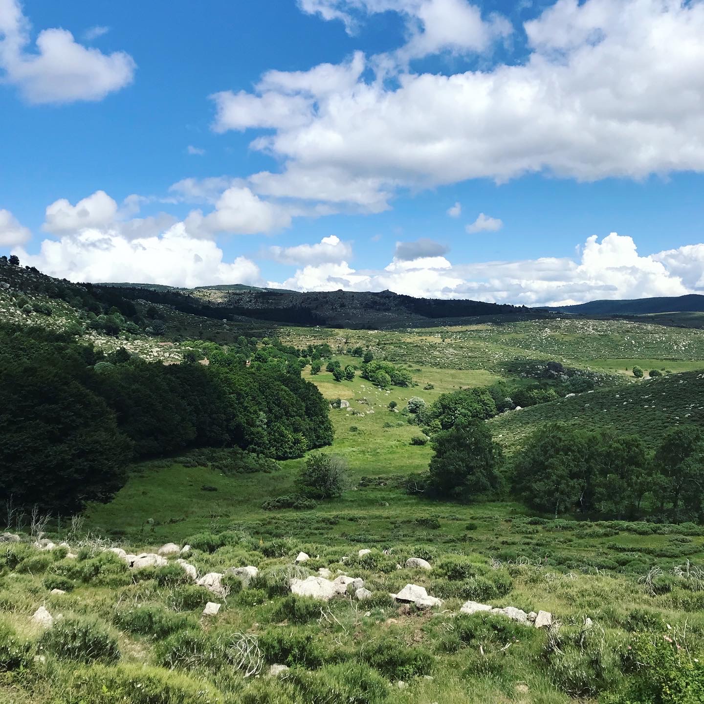 Photo n° 1 de l'avis de boutten.h fait le 11/07/2021 à 16:10