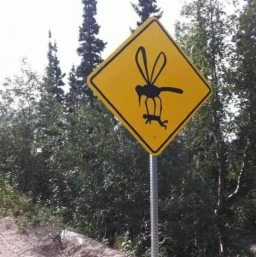 Insurance Agency «Bob Love - State Farm Insurance Agent», reviews and photos